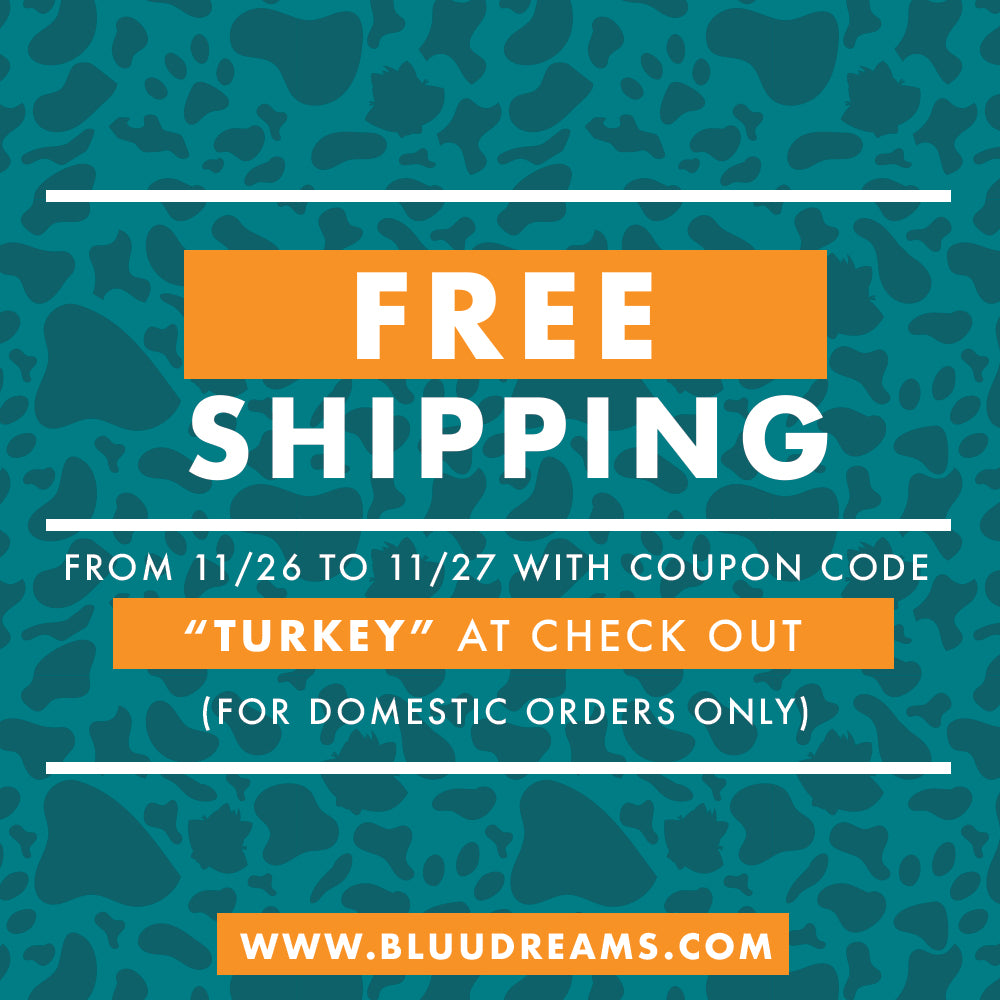 Free Shipping For Black Friday